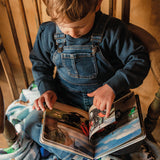 On the Farm Lift-the-Flap Book
