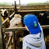 Tractor Ted Cap