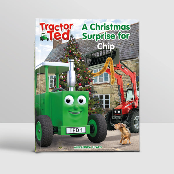 Personalised A Christmas Surprise Storybook