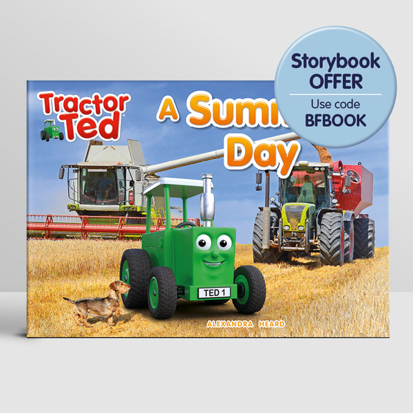 A Summer's Day Storybook