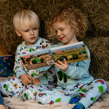 The Runaway Bale Story Board Book
